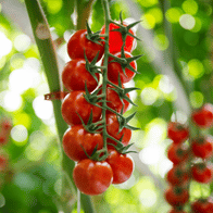 Adsız tasarım (69)