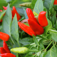 Adsız tasarım (70)